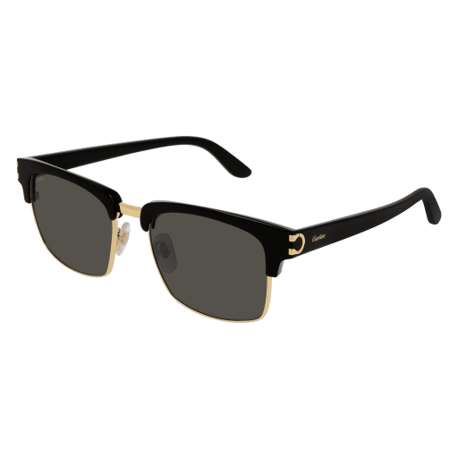 CT0132S-001 54 SUNGLASSES MAN RECYCLED ACE