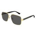 GG0529S-001