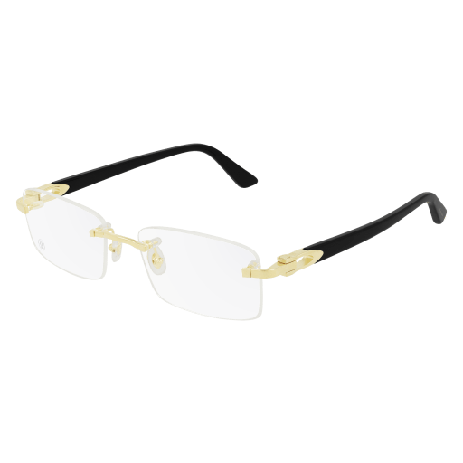 CT02870-001 54 OPTICAL FRAME MAN METAL