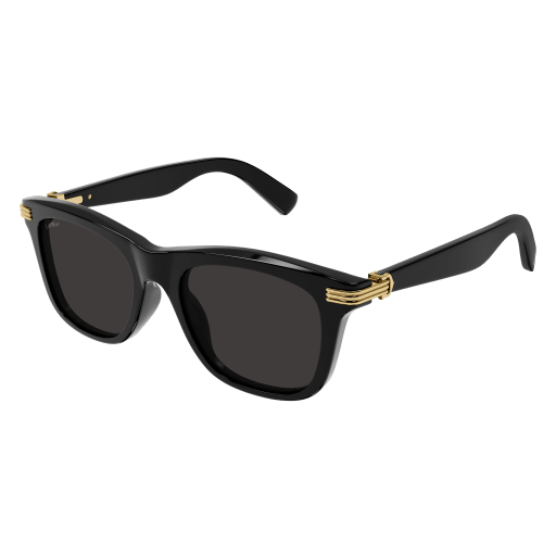 CT0396S-001 SUNGLASS MAN RECYCLED ACE