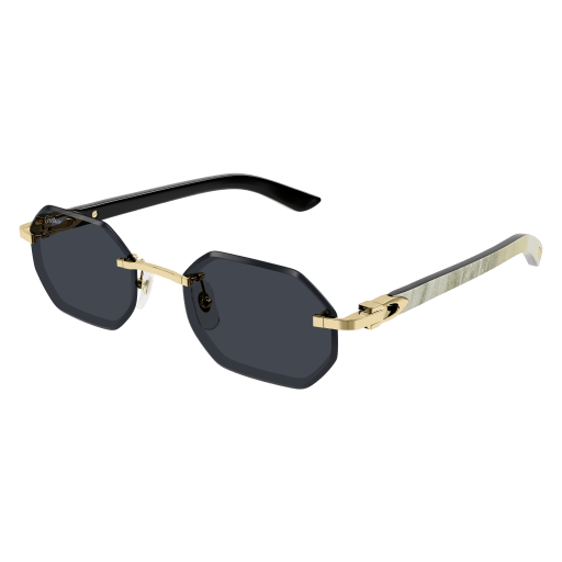 CT0439S-002 54 Sunglasses MAN METAL