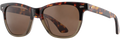 SARATOGA TORTOISE
