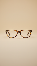 Tortoiseshell acetate classic frame