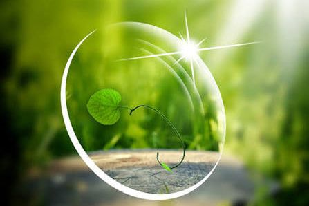 Lens Tints & Coatings